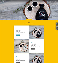 成都嘿桑創意科技公司網站設計